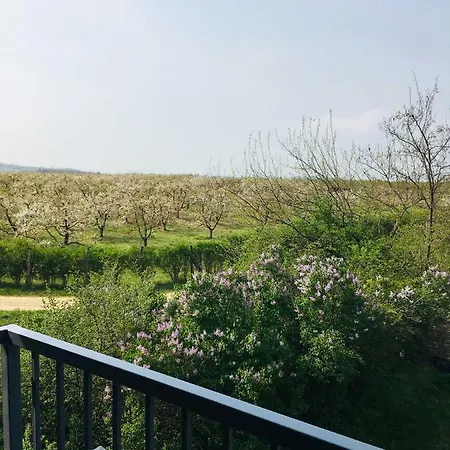 Kesa Barn Villa Latrany