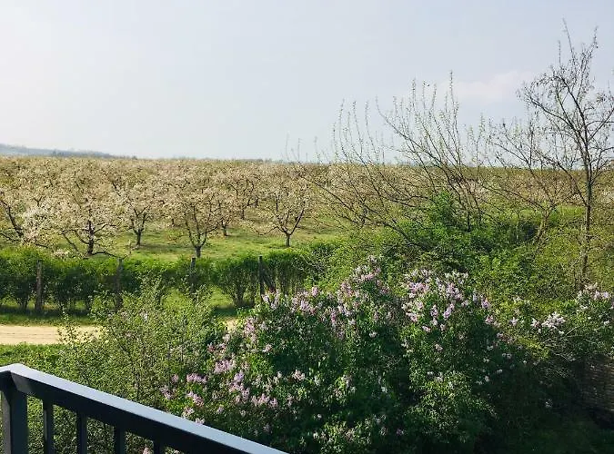 Kesa Barn וילה Latrany